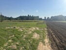 Działki budowlane w Gołąbku, gm. Skórzec - 2