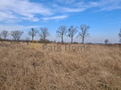 Działka budowlana Bełchatów, - 2