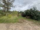 Na sprzedaż działka budowlana w Żelkowie-Kolonii - 4