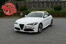 Alfa Romeo Giulia 2.2d Manual 2018r. jak NOWA 31tkm DNA NAVi Skóra LED Polecam - 1
