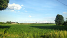 Działka inwestycyjna Kopytów gm. Błonie, - 4