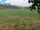 Działka usługowa Leszna Górna gm. Goleszów - 13