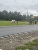 Działka Popowice gm. Stary Sącz - 4