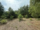 Urokliwa działka przy lesie - idealna pod zabudowę! - 6