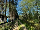 Działka z możliwością zabudowy blisko j. Białe - 9