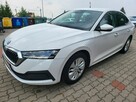 Škoda Octavia 2021Tylko Salon Polska 1Właściciel Bezwypadkowy ledy ASO - 3