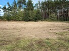 Duża działka pod zabudowę przy lesie - 4