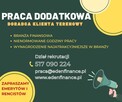 Terenowy Doradca Klienta