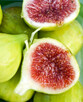 Drzewka Figowe - 2
