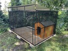 3x2 Kojce dla psów Kojec dla psa Boks Klatka SZYBKA DOSTAWA - 2
