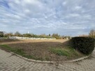 Działka budowlana Ulesie gm. Miłkowice, - 2
