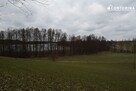 Działka rekreacyjna Chrztowo gm. Liniewo - 3
