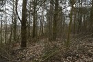 Działka rekreacyjna Chrztowo gm. Liniewo - 7