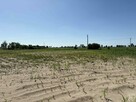 Działka budowlana Osowo Stare gm. Oborniki - 1