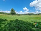 Działka z widokiem na las, w pobliżu jezior - 11