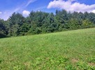 Działka rolno-rekreacyjna 1,59 ha – Nowosiółki, gmina Baligr - 3