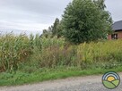 Kobylany gm. Zabierzów - płaska, 35-arowa działka budowlana - 3