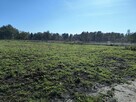 Na sprzedaż 6 dużych działek w Pilchach 150 m od jeziora Roś - 2