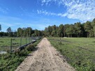 Na sprzedaż 6 dużych działek w Pilchach 150 m od jeziora Roś - 12