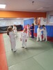 Judo - nowy nabór. - 2