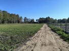 Na sprzedaż 6 dużych działek w Pilchach 150 m od jeziora Roś - 4