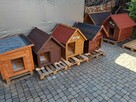 Budy dla piesków duży wybór DOSTĘPNE OD RĘKI - 1