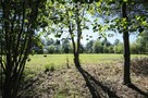 Łazieniec działka z planem i możliwością podziału - 10
