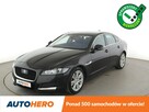 Jaguar XF 20d Automat Prestige Panorama Tempomat Navi Grzana Skóra Kamera Xenon