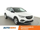 Opel Grandland X 1.6 CDTI Automat INNOVATION Klimatronik Tempomat Nawigacja Park&Go LED - 10