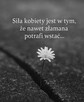 Stały związek! Poszukuje tego normalnego - 9
