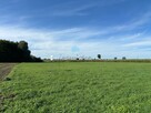 Działka inwestycyjna Łubowo Owieczki, Owieczki - 7