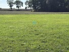 Działka inwestycyjna Łubowo Owieczki, Owieczki - 11