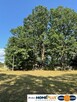 Siedlisko pod lasem, 1,8 ha niedaleko Warszawy - 10