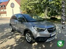 Opel Crossland X   Niski Przebieg  Dokumentacja
