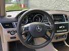 Mercedes GL 450 - 14