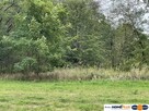 Działka budowlana 985 m² z mediami w Markach - 4