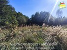Działka budowlana Korytów A gm. Radziejowice - 2
