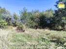 Działka budowlana Korytów A gm. Radziejowice - 6