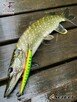 Wobler typu minnow Westin ripper kopyto szczupak bestseller - 8