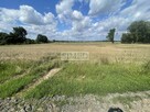 Działka pod dom ze stawem i zagajnikiem - 13