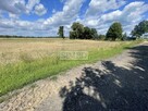 Działka pod dom ze stawem i zagajnikiem - 16