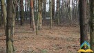 Działka budowlana Przypki gm. Tarczyn - 2
