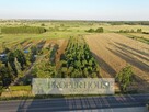 Działka rolno-budowlana Wola Sernicka gm. Serniki - 3