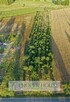 Działka rolno-budowlana Wola Sernicka gm. Serniki - 7