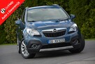 Innovation Xenon Led Navi Kamera 2xParktronic Skóry Aso Opel Alu18"