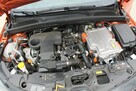 Renault Clio - 14
