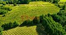 Działka rolna Krzemienna gm. Dydnia - 2