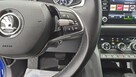 Škoda Kodiaq - 15