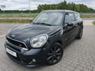 Mini Paceman - 1