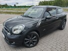 Mini Paceman - 2